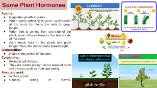 Control and coordination part4 Plant hormones [upl. by Eseenaj704]