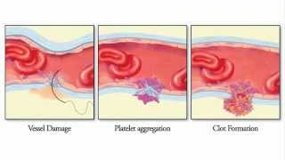 Introduction to Microsurgery Part 1 [upl. by Enail]