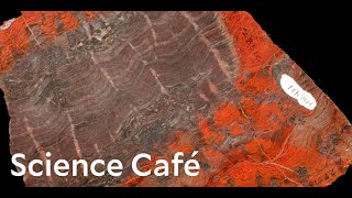 Peabody Science Cafe Origins of Life [upl. by Oigolue25]