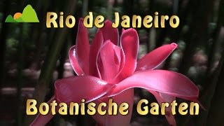 Rio de Janeiro Doku jardim botanico botanische Garten 1819 [upl. by Adnilemre657]