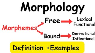 MorphologyMorphemeTypes of morphemelinguistics [upl. by Yelkcub]