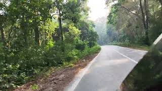 Gorumara National Forest 🫶 Malbazar diaries❤️ westbengal northbengal dooars tourismvideonature [upl. by Ibrahim14]