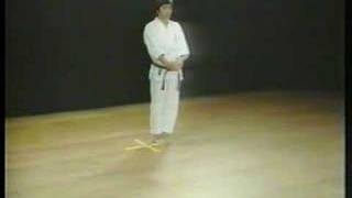 Bassai Dai  Shotokan Karate [upl. by Hubert]