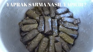 Zeytinyağlı Yaprak Sarma Nasıl Yapılır  Yemek Tarifleri [upl. by Hsemin]