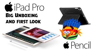 iPad Pro 97 128 GB WiFi  Cellular  Big Unboxing and first look [upl. by Marillin365]