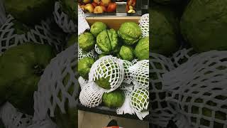 Perakka  Guava agriculturefruit fruits [upl. by Atibat350]