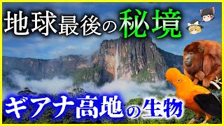 【ゆっくり解説】新種も⁉地球最後の秘境「ギアナ高地」の生物8選を解説未だ謎が多い、地上から隔絶された独自の進化とは [upl. by Alten769]