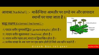 Morphology of Marchantia in hindi।।Bsc 1st year।।मार्केन्शिया के बाह्य लक्षण आवास व वर्गीकरण [upl. by Recnal235]