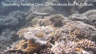 MALDIVESDIVERLANDEMBUDU モルディブエンブドゥ HouseReefCoralGardenDivingParadise [upl. by Molahs60]