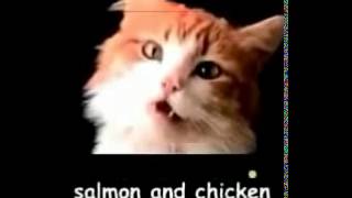 Meow Mix Singing Cat Commercial Slow Motion [upl. by Earazed]