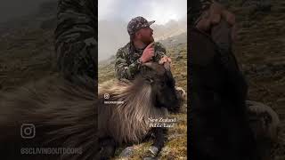 New Zealand Public Land Tahr hunting newzealand Mountains [upl. by Akitnahs]