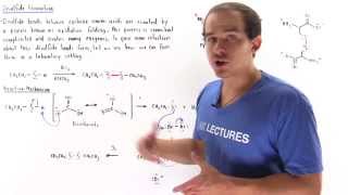 Disulfide Bond Formation [upl. by Adnyc]