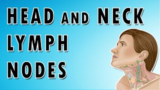 Lymph Nodes In The Neck  Occipital Auricular Cervical Submandibular and Submental nodes [upl. by Milinda]