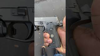 Sig P229 Legion DASA vs RXP SAO sig terminallist shorts [upl. by Aneloaup]