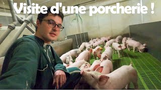 Visite de la porcherie  Suivezmoi  🐷😉 [upl. by Gnov627]