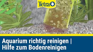 Aquarium richtig reinigen  Schnelle Hilfe zum bodenreinigen [upl. by Enitsirk]