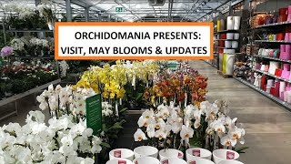 Orchidomania Presents Visit May Blooms and Updates [upl. by Zeiler]