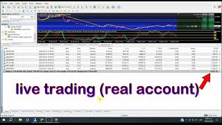 Forex EA automated and profitable fron 50 usd to 177000 USD for all brokers MT4 MT5 [upl. by Notlrahc]