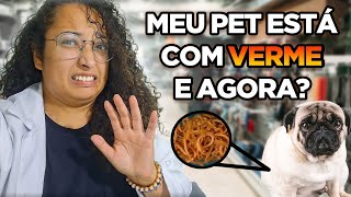 Meu pet está com verme e agora  dicas sobre vermífugo para cães e gatos [upl. by Lana834]