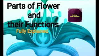 Parts and Functions of a Flower parts of a Flower and their Functions  Parts of Flower  Botany [upl. by Roana291]