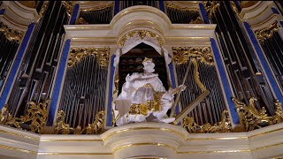 THE 1 AUTHENTIC BACH ORGAN IN THE US   The CraigheadSaunders Organ Rochester NY  David Higgs [upl. by Obaza261]