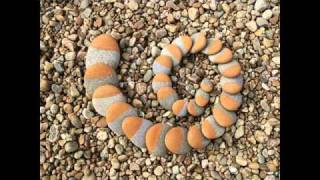 Landart Movie  Creations in Nature 2011 [upl. by Laufer]