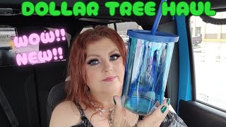 MAGNIFICENT DOLLAR TREE HAUL  April 5 2024 [upl. by Nethsa]