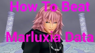 How To Beat Marluxia Data Battle  Kingdom Hearts 25 [upl. by Fabi]