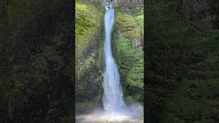 Columbia River Gorge Oregon  Horsetail Falls [upl. by Manchester46]