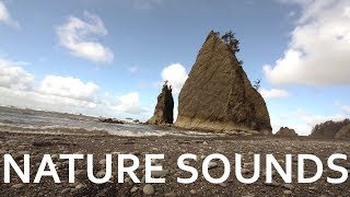 Gorgeous Nature Sounds from the US Pacific Northwest [upl. by Severn218]