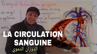 La circulation sanguine 3ème année collège الدوران الدموي [upl. by Ahsenauj]