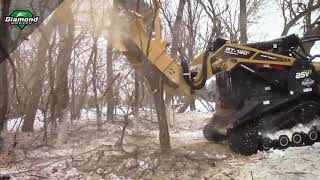 SkidSteer Forestry Disc Mulcher  Diamond Mowers  Stronger Simplified [upl. by Howland208]