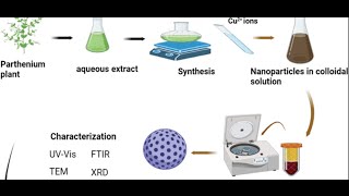 Plant Mediated One pot Synthesis of Copper Oxide Nanoparticles [upl. by Alasdair]