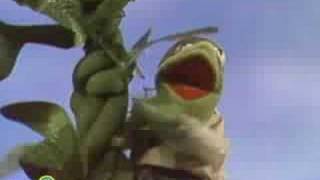 Sesame Street Jack amp The Beanstalk  Kermit News [upl. by Burdelle]