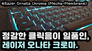 【ASMR】 강렬한 메카 멤브레인 키보드 타이핑 소리ㅣ레이저 오나타 크로마ㅣ청축형 멤브레인ㅣ공부 수면 팅글 ASMRㅣ2시간ㅣ중간광고 없음ㅣNo Talking [upl. by Atinaej]