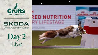 Day 2 LIVE  Crufts 2024 [upl. by Mcconnell]