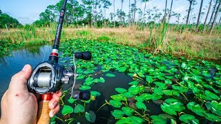 Catching BIG Bass in THICK Lily Pads [upl. by Braunstein619]