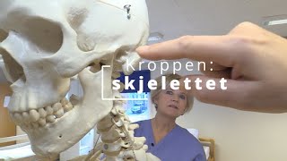 Kroppen skjelettet [upl. by Tasha]