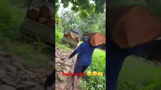 Timber Lodging 😢😢Like share subscribe 😢🤲🤲🤲😢😢😢 [upl. by Ong]