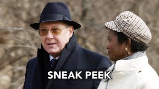 The Blacklist 8x08 Sneak Peek quotOgden Greeleyquot HD Season 8 Episode 8 Sneak Peek [upl. by Lattie]