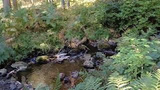 Comrie waterfall [upl. by Namilus]