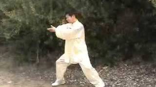 Shaolin Qigong Luohan 13 Forms Chi Kung [upl. by Anoyek]