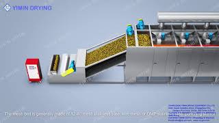 DW Series continous Belt Dryer for vegetable fruit or herbal [upl. by Llesirg]