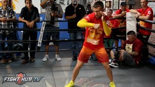 Vasyl Lomachenko VS Jose Pedraza HIGHLIGHTS KNOCKDOWN [upl. by Hathaway22]