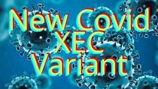 What Is The New Covid XEC Variant How To Stop Covid 19 Will Covid End covidxec covidxecvariant [upl. by Ymmat109]