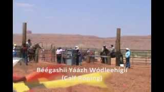 Rodeo Terminology in the Navajo Language [upl. by Burr295]