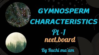 Gymnospermsclass 11plant kingdom general featurescbsencert biologyneetCBSEchapter3 [upl. by Neimad111]