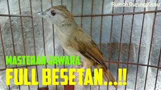 KAPAS TEMBAK FUL BESETAN [upl. by Florette]