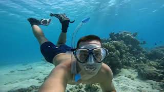 Kempinski Soma Bay House Reef Snorkeling [upl. by Rafi]