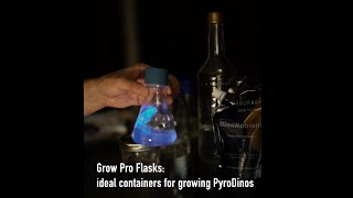 Growing The Glow DIY Guide to Cultivating Your Own PyroDinos bioluminescent plankton [upl. by Oisinoid]